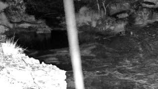 Still 3 from this detection