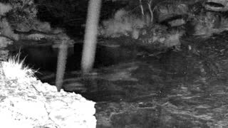 Still 3 from this detection