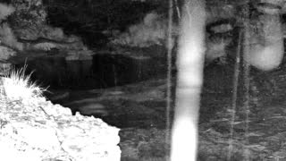 Still 2 from this detection