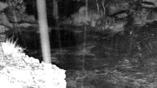 Still 1 from this detection