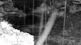 Still 2 from this detection