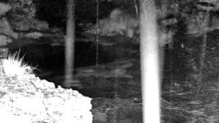 Still 1 from this detection