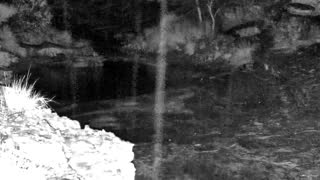 Still 2 from this detection