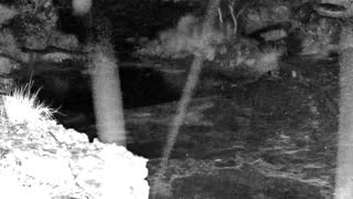 Still 1 from this detection