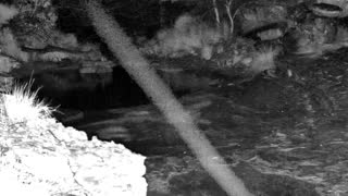 Still 2 from this detection