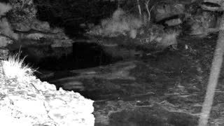 Still 1 from this detection