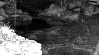 Still 2 from this detection