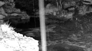 Still 1 from this detection