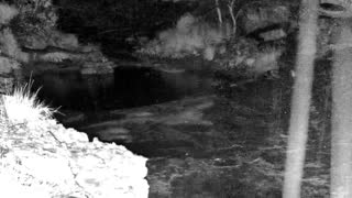 Still 3 from this detection