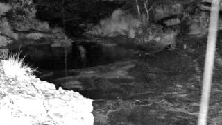 Still 2 from this detection