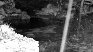 Still 3 from this detection