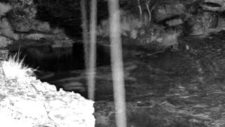 Still 1 from this detection
