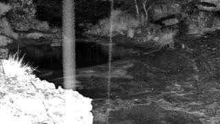 Still 2 from this detection