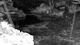 Still 1 from this detection