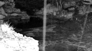 Still 2 from this detection