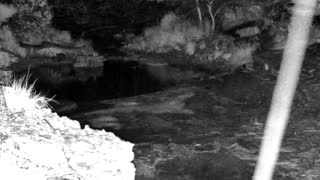 Still 3 from this detection