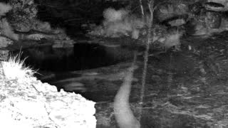 Still 2 from this detection