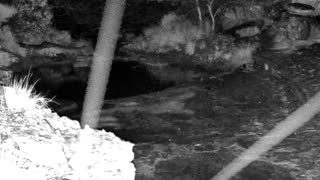 Still 2 from this detection