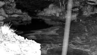 Still 2 from this detection