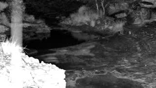 Still 1 from this detection