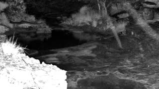Still 3 from this detection