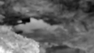 Still 2 from this detection
