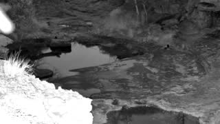 Still 1 from this detection