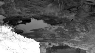 Still 2 from this detection