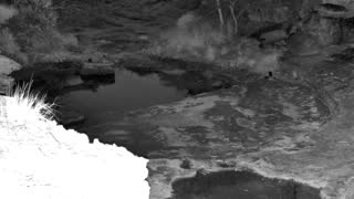 Still 3 from this detection