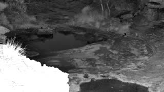 Still 1 from this detection