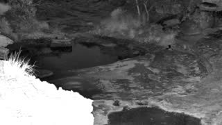 Still 3 from this detection