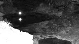 Still 1 from this detection