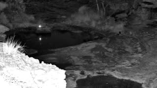 Still 2 from this detection