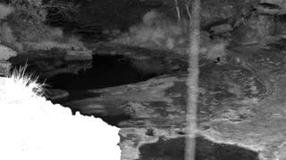 Still 1 from this detection