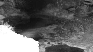 Still 2 from this detection