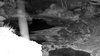 Still 2 from this detection