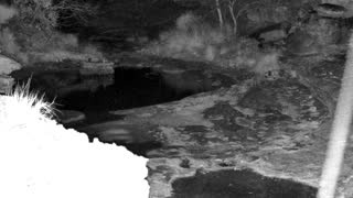Still 1 from this detection