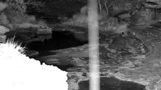 Still 2 from this detection