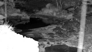 Still 1 from this detection
