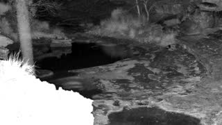 Still 2 from this detection