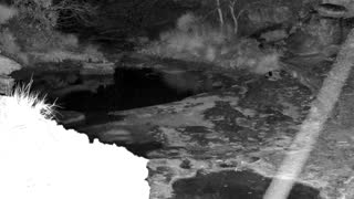 Still 2 from this detection
