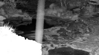 Still 1 from this detection