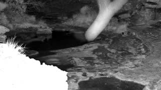 Still 1 from this detection