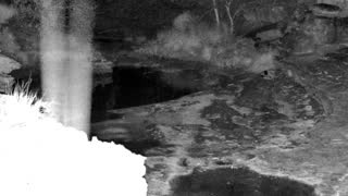Still 3 from this detection