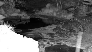Still 1 from this detection