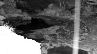 Still 1 from this detection