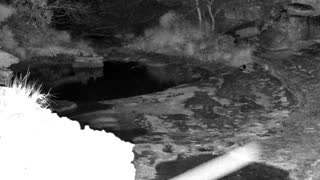 Still 3 from this detection