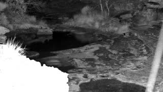Still 2 from this detection