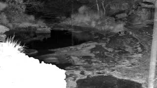 Still 2 from this detection