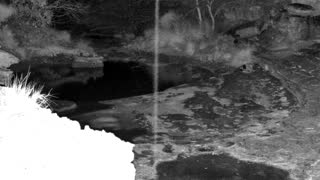Still 2 from this detection
